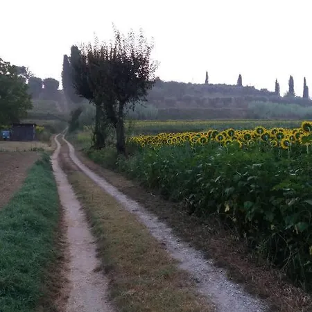 Podere Gian Battaglia * Fucecchio