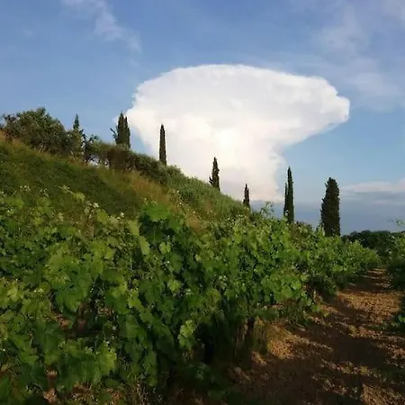 Apartment Podere Gian Battaglia *