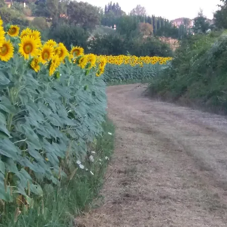 Apartment Podere Gian Battaglia *