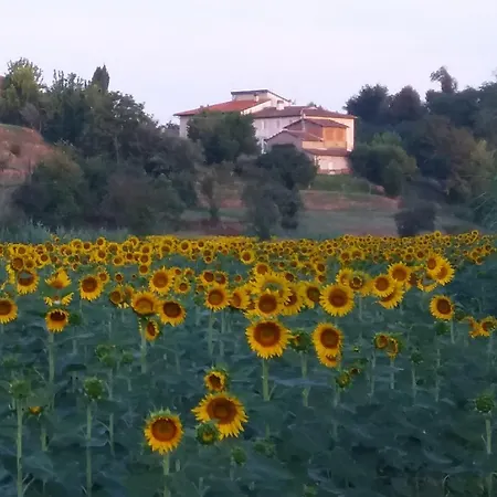 Podere Gian Battaglia Apartment